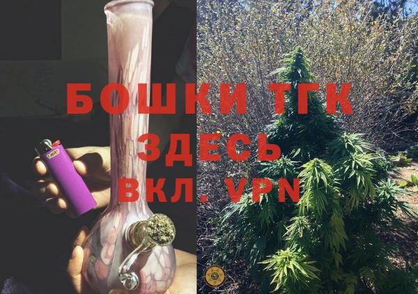 шишки Бородино