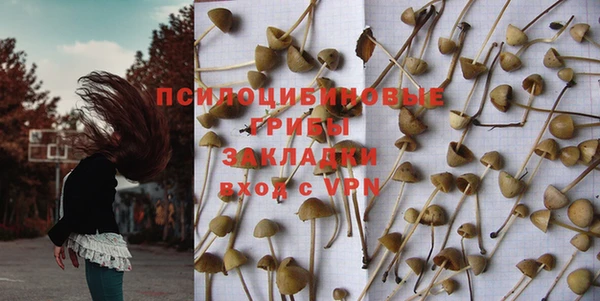 шишки Бородино