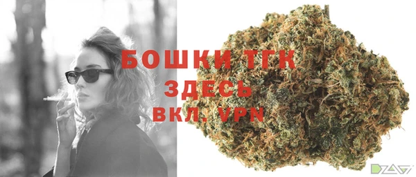 ECSTASY Бронницы