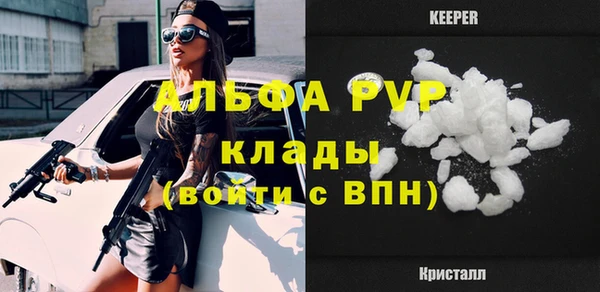шишки Бородино