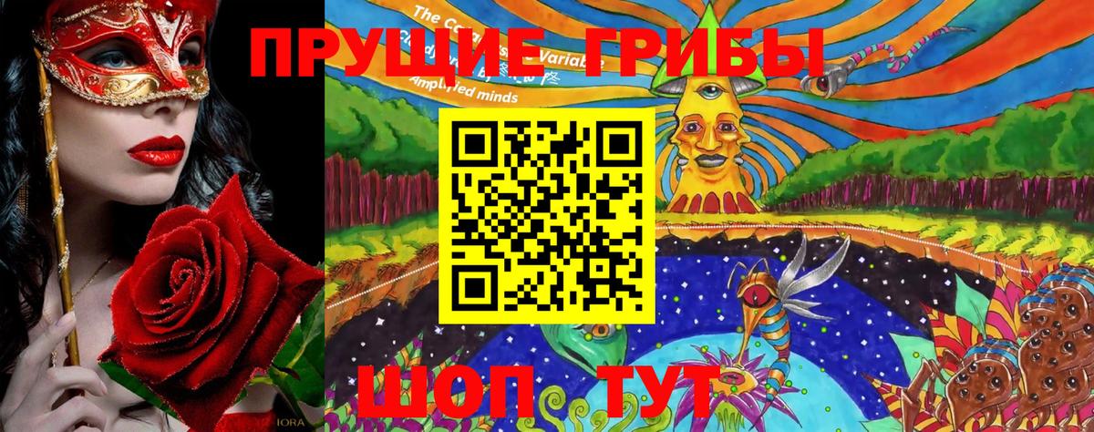 Галлюциногенные грибы мухоморы  Вход с VPN  Северобайкальск 